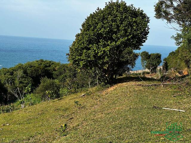 #339 - Área para Venda em Garopaba - SC - 2