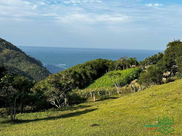 #339 - Área para Venda em Garopaba - SC - 1