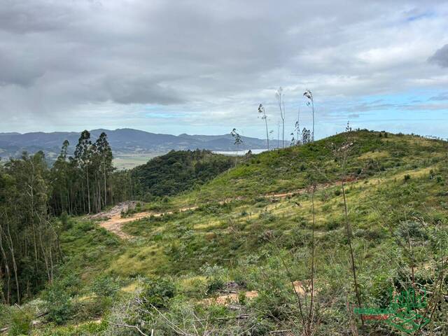 #1444 - Área para Venda em Imaruí - SC