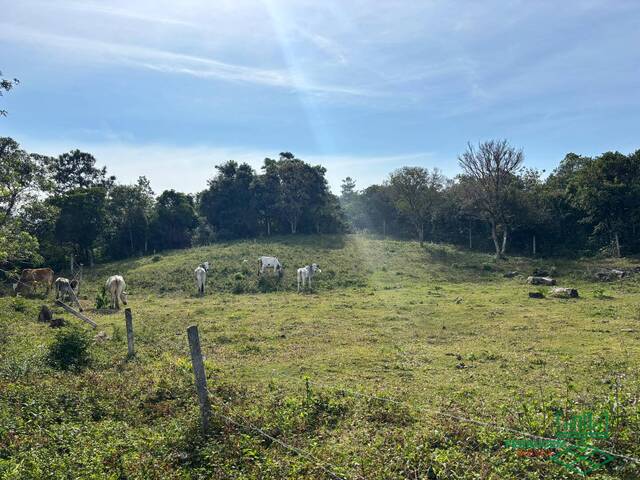 #244 - Área para Venda em Garopaba - SC