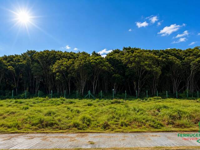 Área para Venda em Garopaba - 5