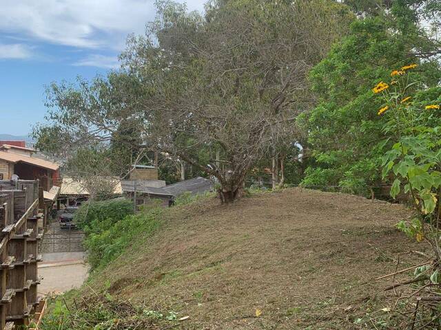 Área para Venda em Garopaba - 4