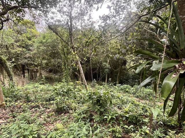 Terreno para Venda em Garopaba - 5