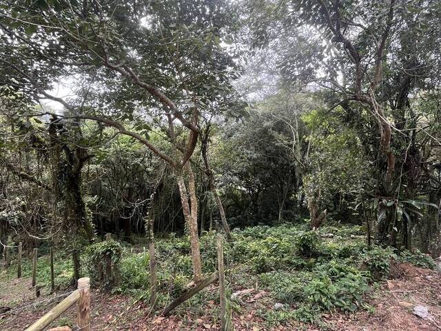 #423 - Terreno para Venda em Garopaba - SC
