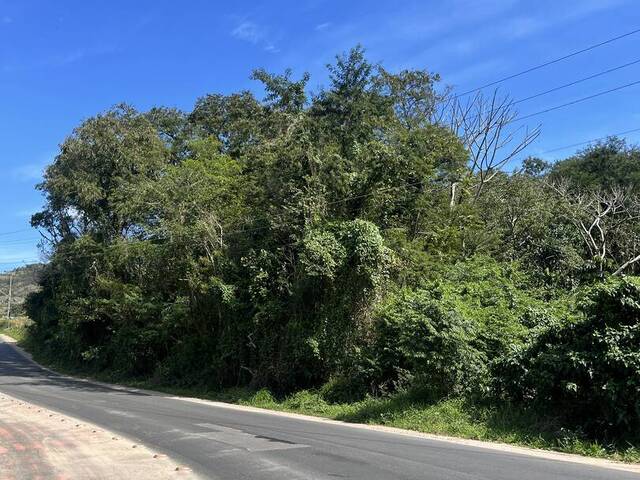 #429 - Área para Venda em Garopaba - SC