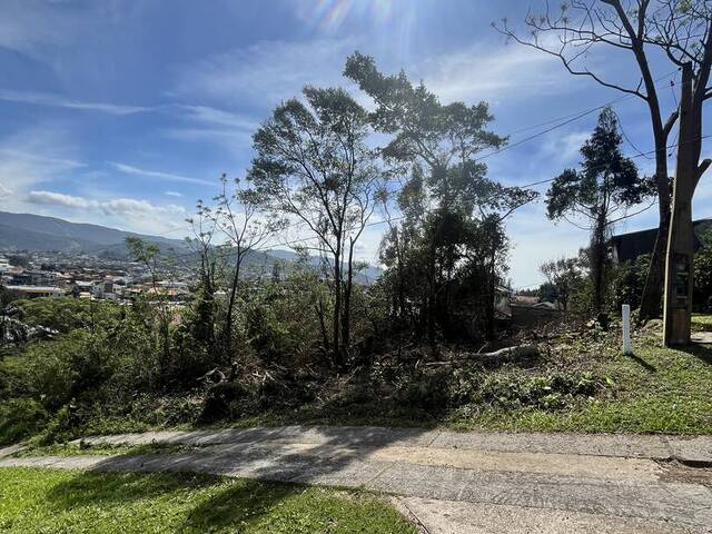 #426 - Área para Venda em Garopaba - SC