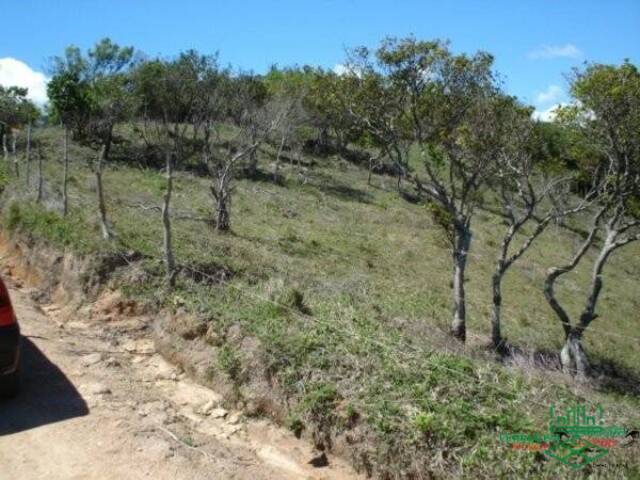 #928 - Terreno para Venda em Garopaba - SC - 1